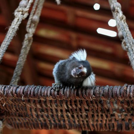 Hotel Fazenda Pedra Do Rodeadouro ボニート エクステリア 写真
