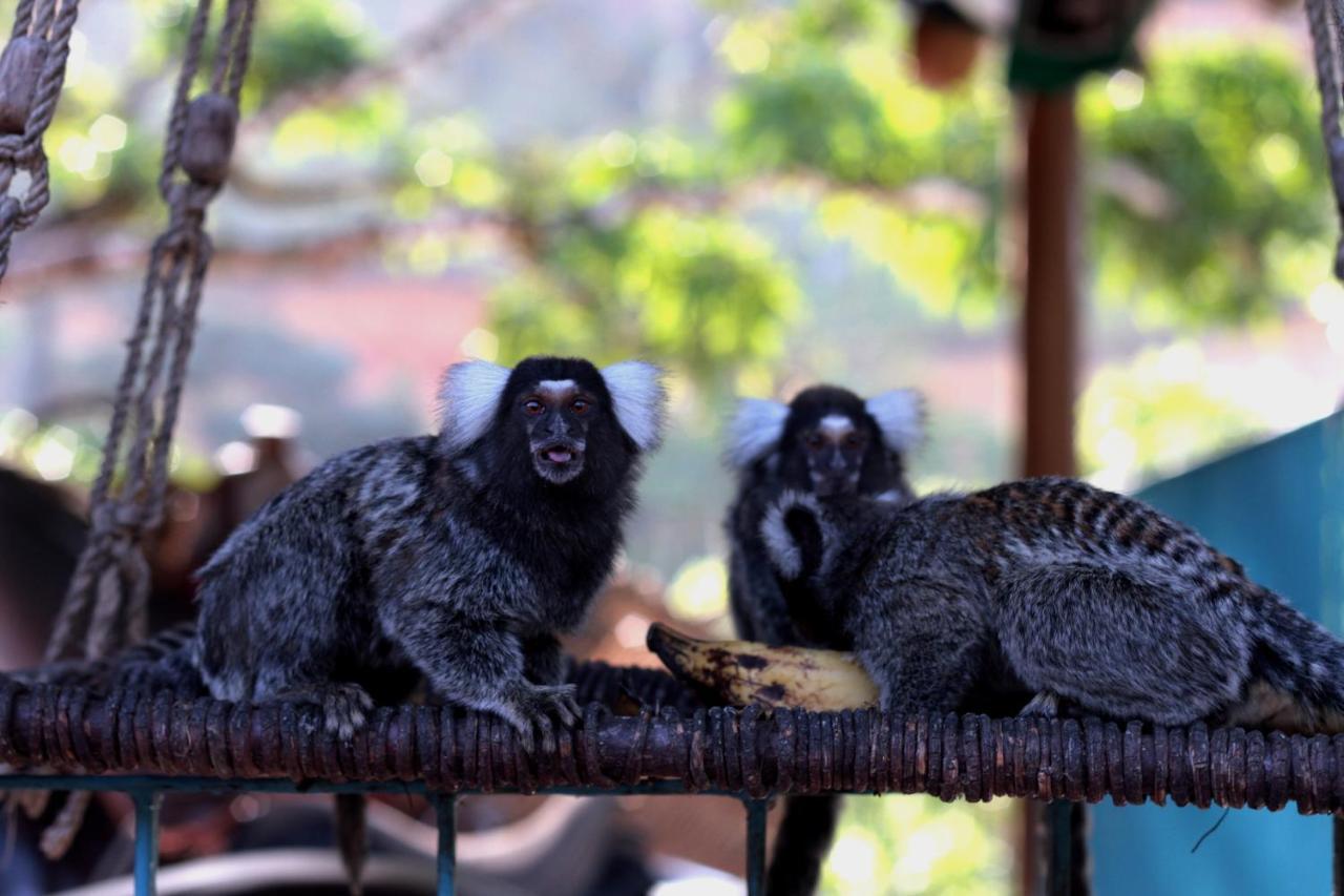 Hotel Fazenda Pedra Do Rodeadouro ボニート エクステリア 写真
